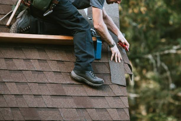 Professional Roofing Contractor in Freemansburg, PA